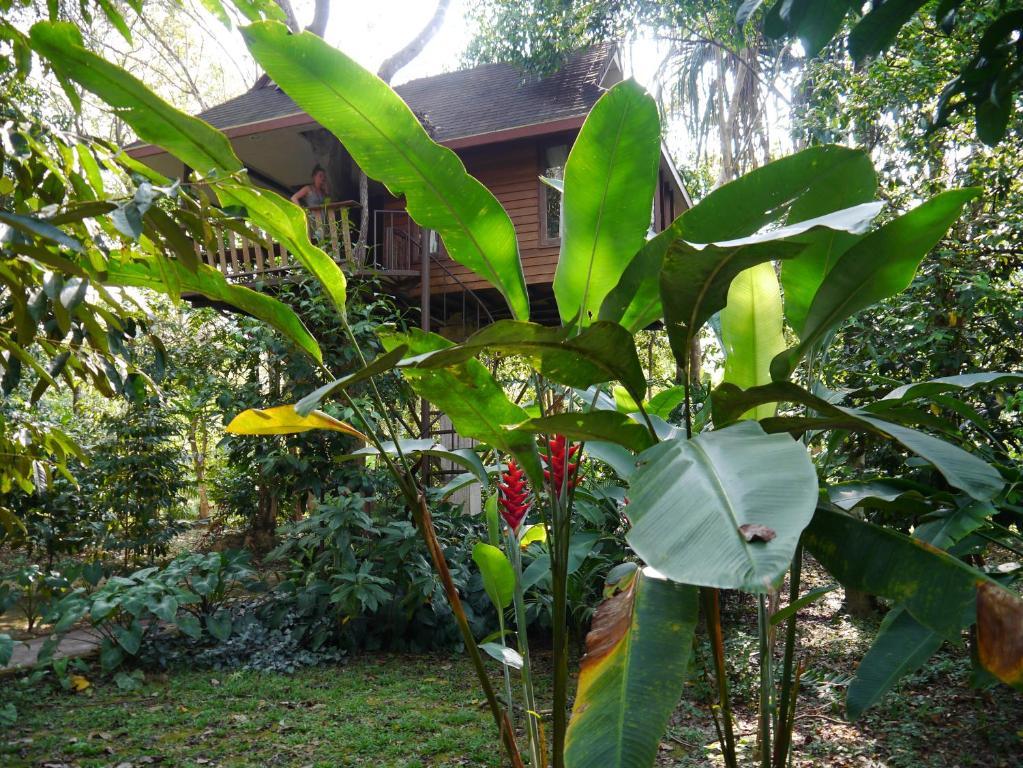 Baan Khao Sok Resort Khao Sok National Park Pokój zdjęcie