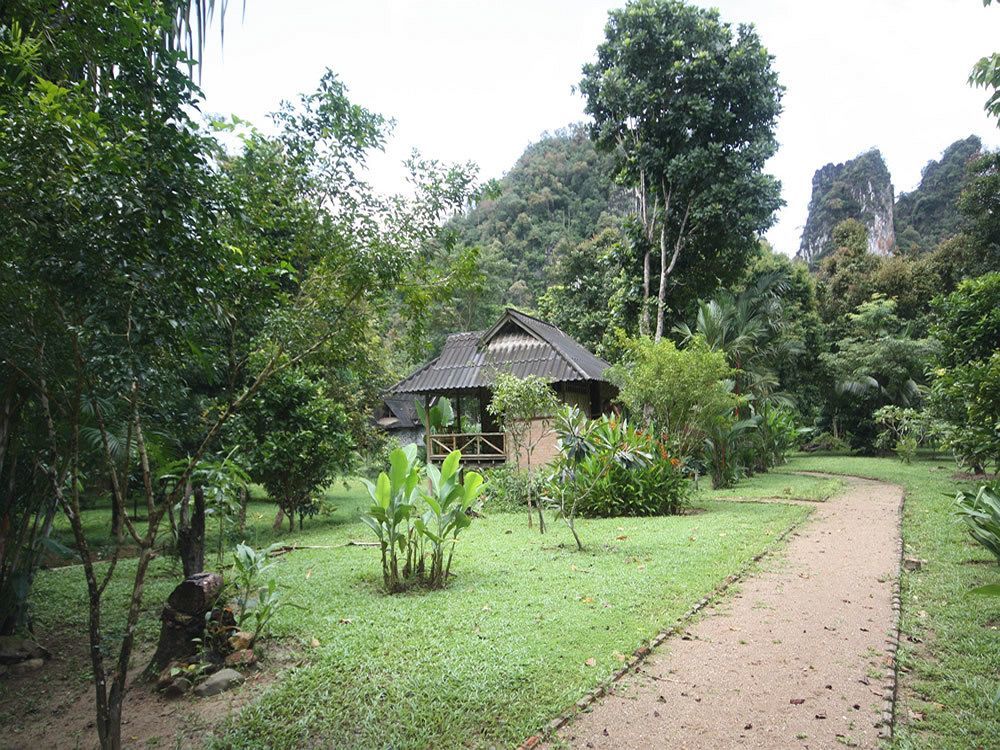 Baan Khao Sok Resort Khao Sok National Park Zewnętrze zdjęcie
