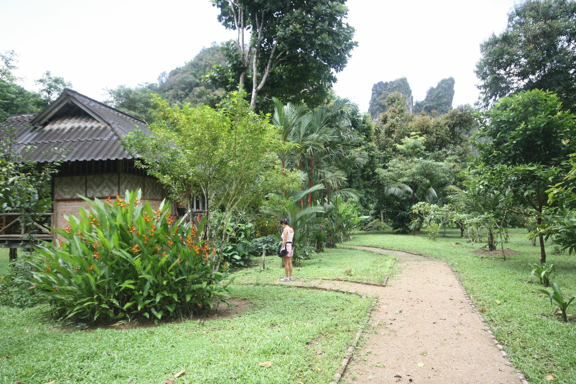 Baan Khao Sok Resort Khao Sok National Park Zewnętrze zdjęcie