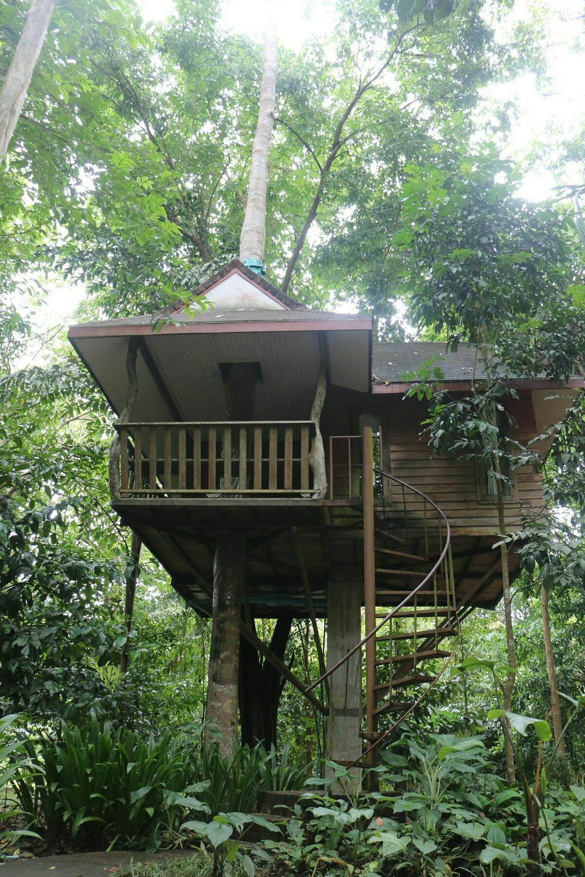 Baan Khao Sok Resort Khao Sok National Park Zewnętrze zdjęcie