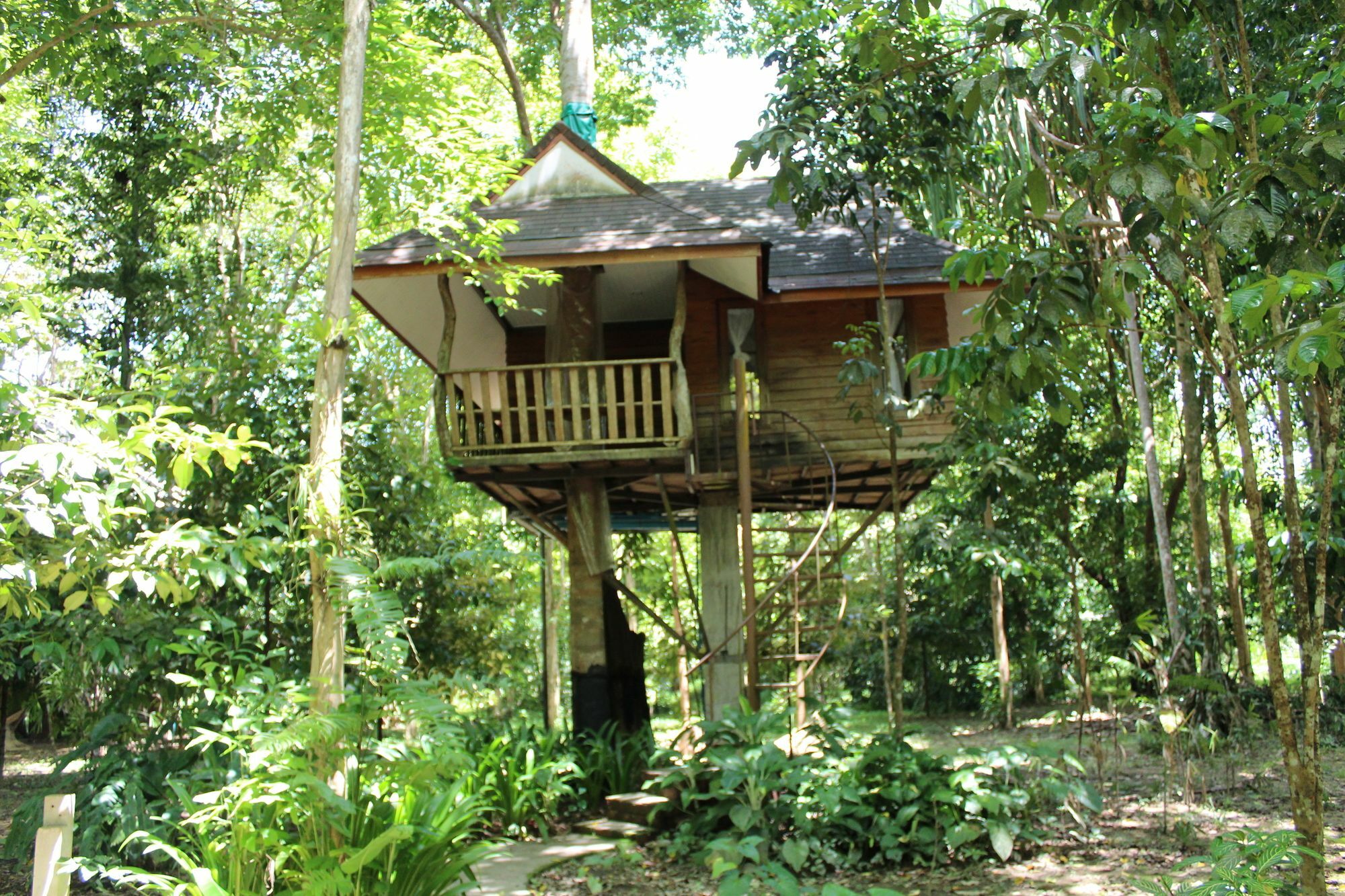 Baan Khao Sok Resort Khao Sok National Park Zewnętrze zdjęcie